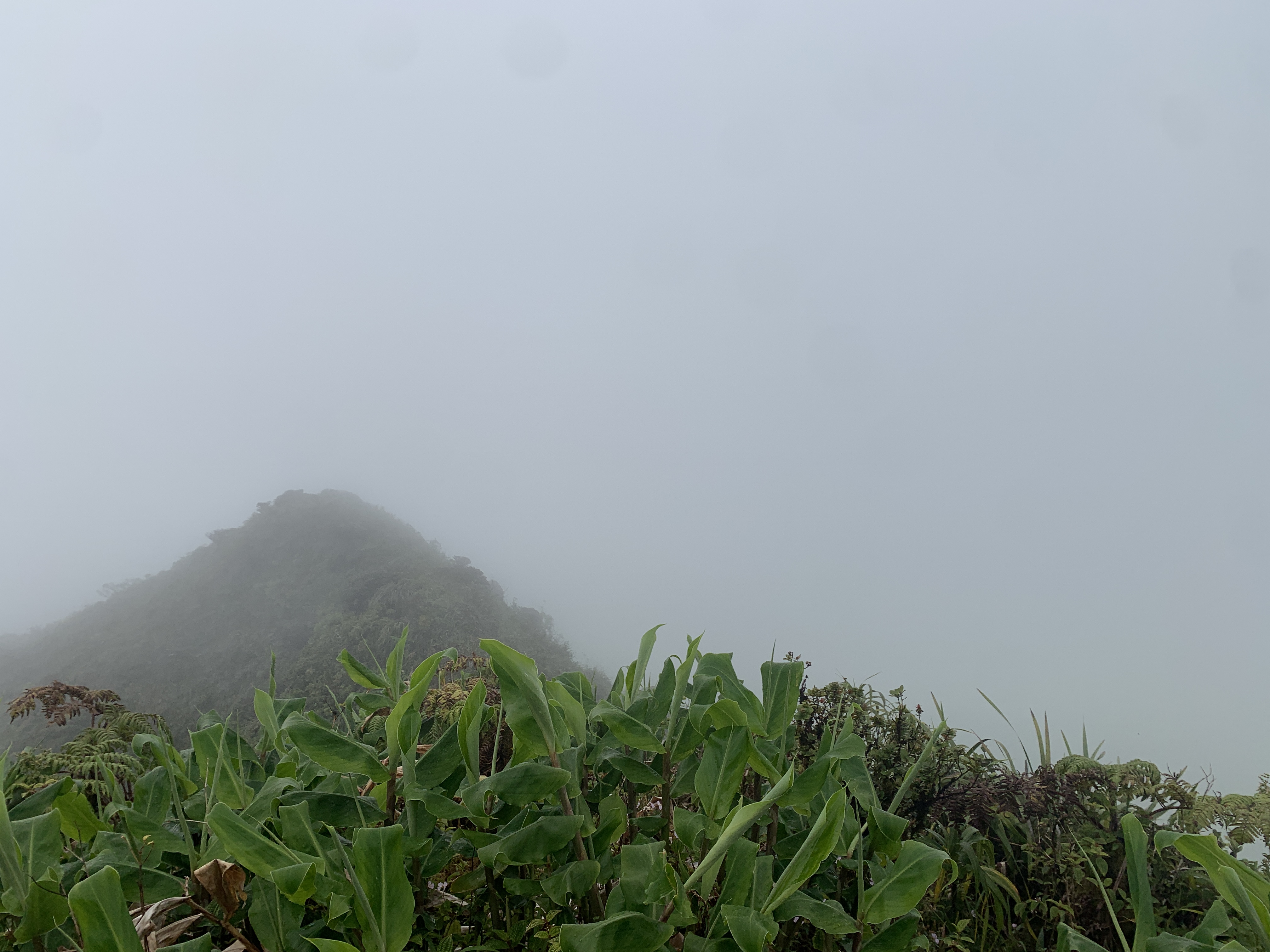Hidden Hike Tour